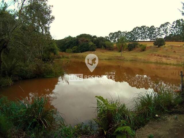 Venda em Biriça do Valado - Bragança Paulista