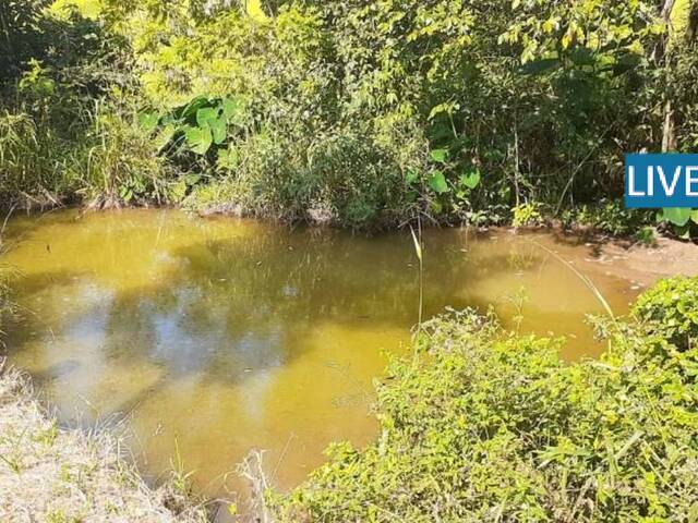 Venda em Biriça do Campinho - Bragança Paulista