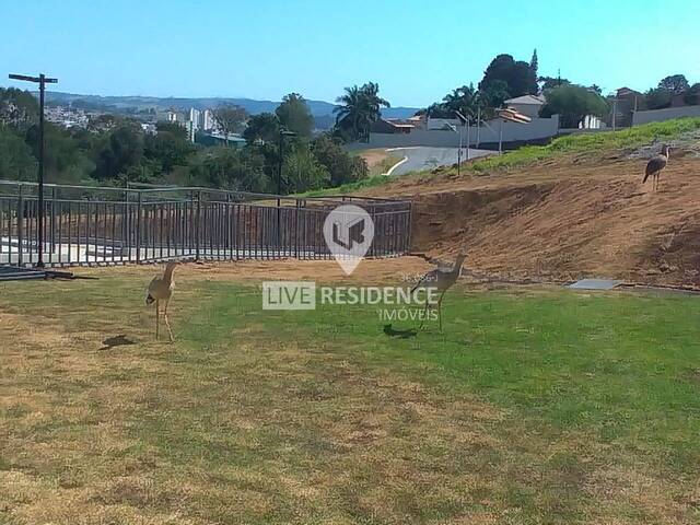 #6865 - Terreno em condomínio para Venda em Itatiba - SP - 3