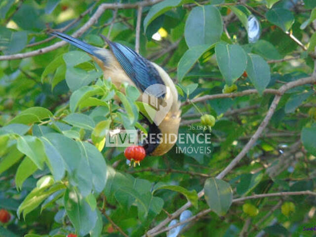 #7370 - Chácara para Venda em Itatiba - SP
