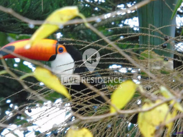 #7370 - Chácara para Venda em Itatiba - SP