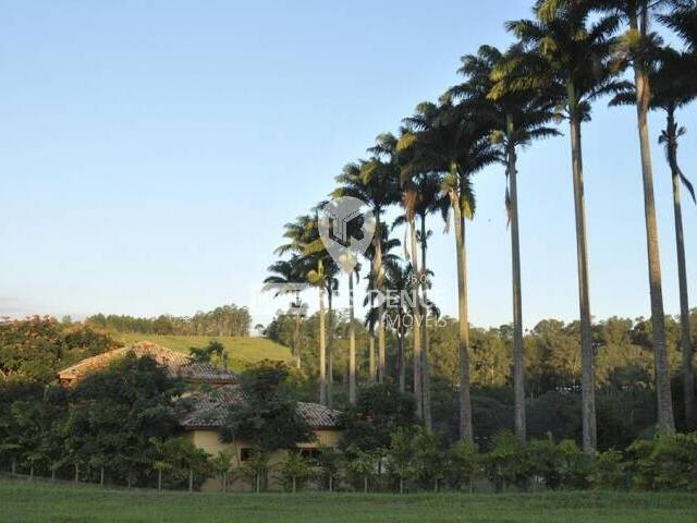 Condomínio Palmeiras