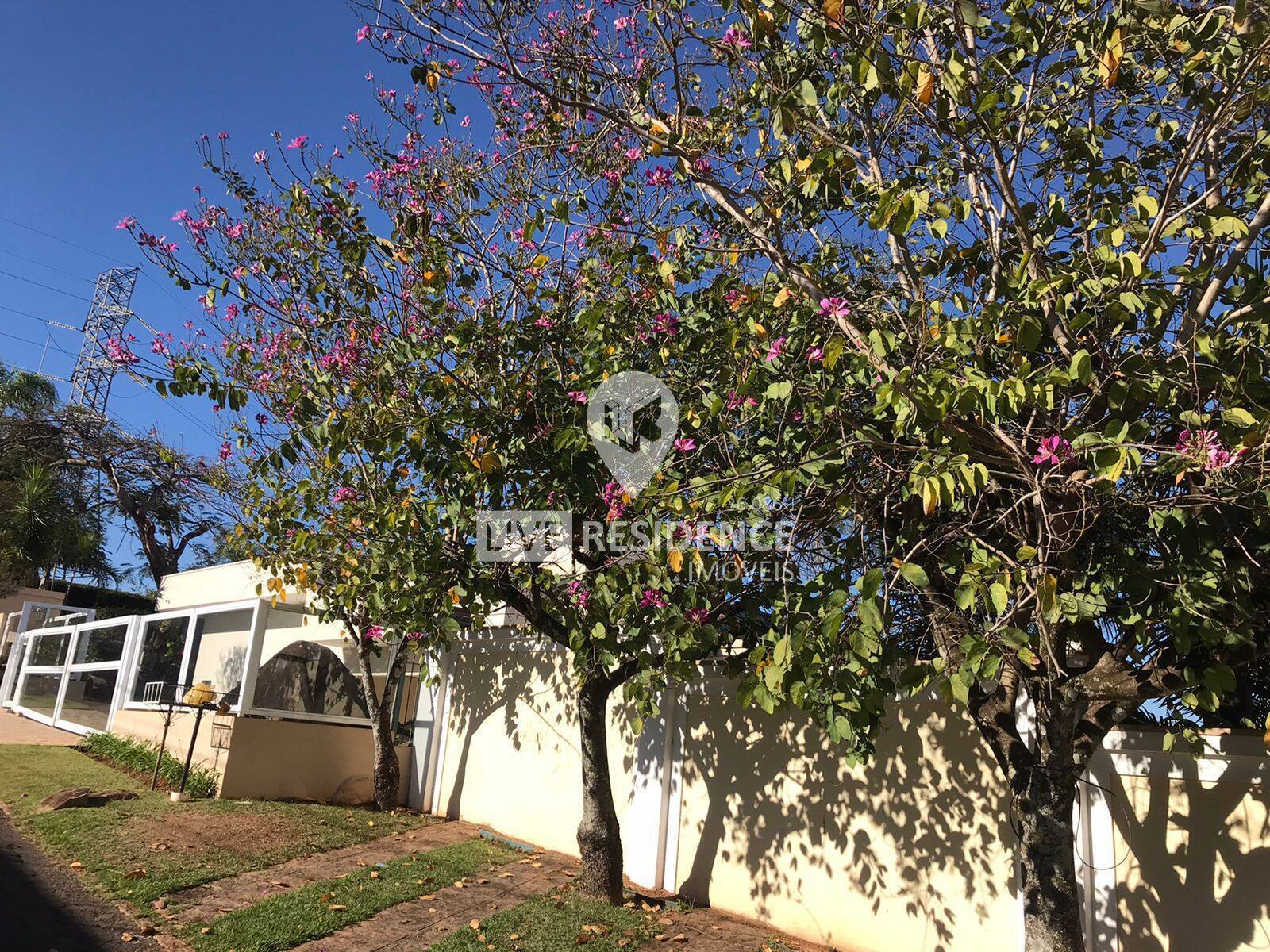 Casa à venda com 3 quartos, 468m² - Foto 5