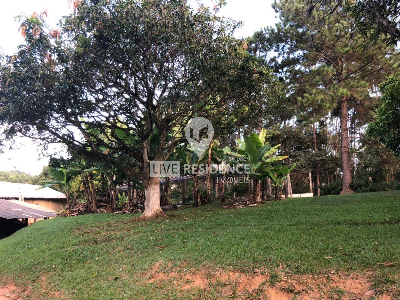 Casa à venda com 4 quartos, 350m² - Foto 7
