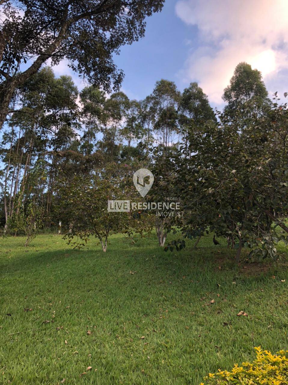 Casa à venda com 4 quartos, 350m² - Foto 10