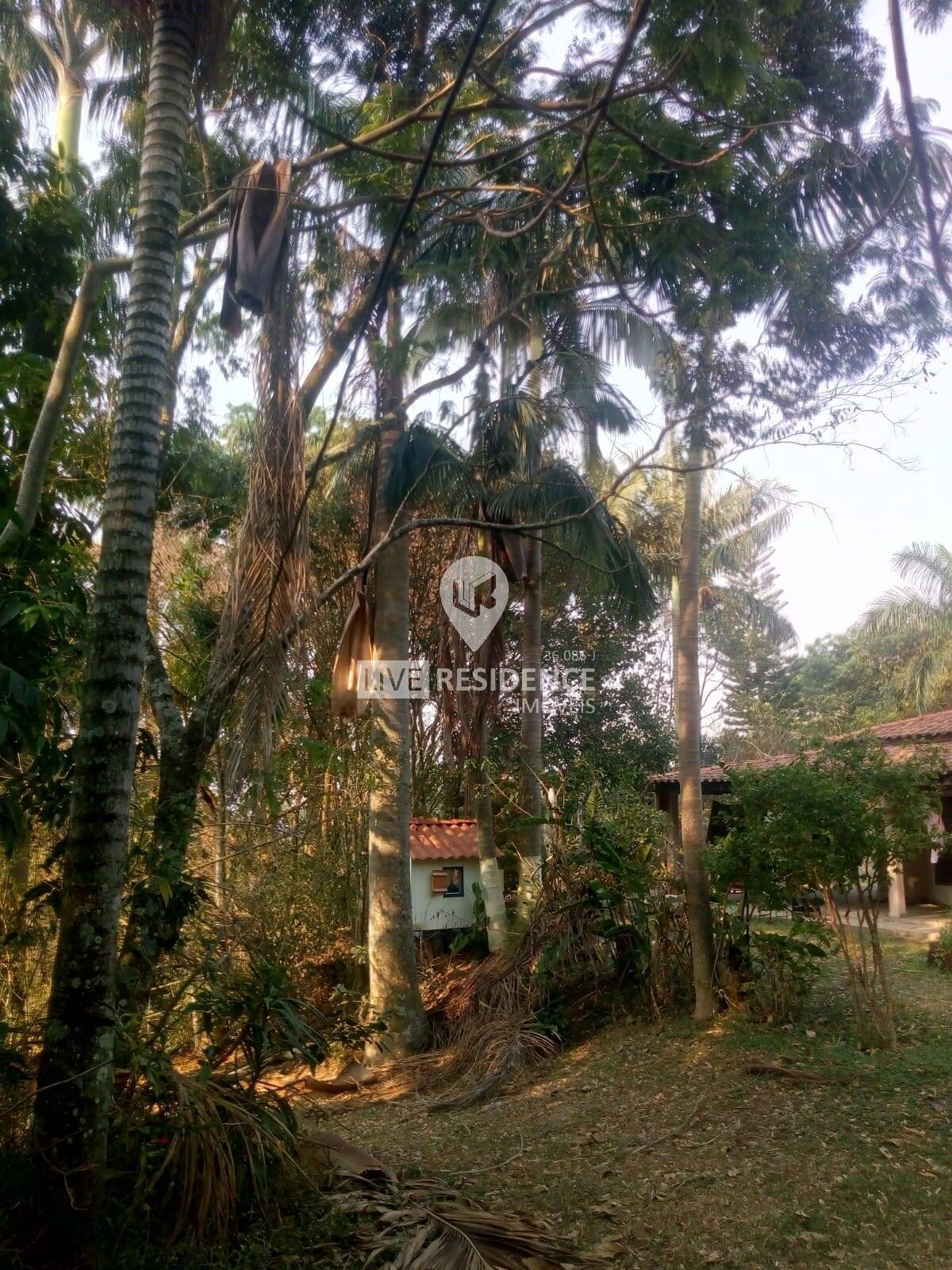 Sítio à venda com 4 quartos, 600m² - Foto 14