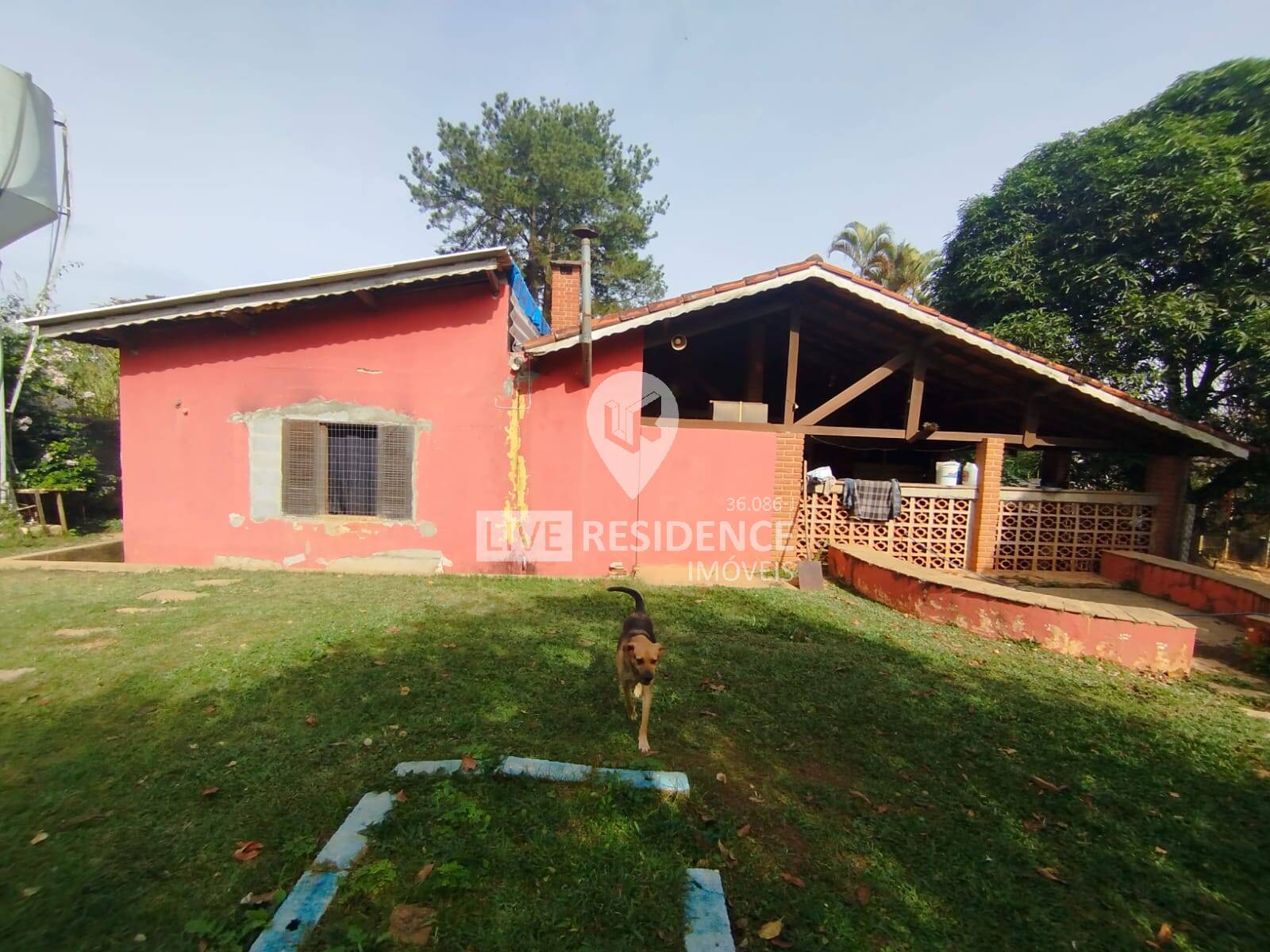 Foto 5