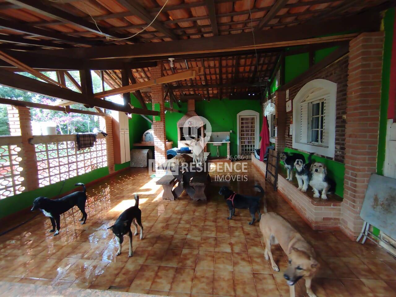 Foto 6