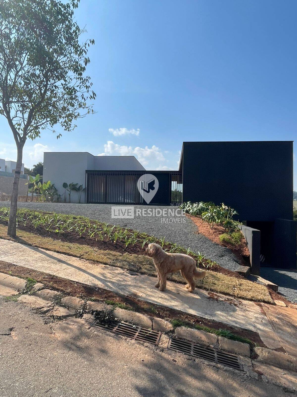 Casa à venda com 5 quartos, 535m² - Foto 69