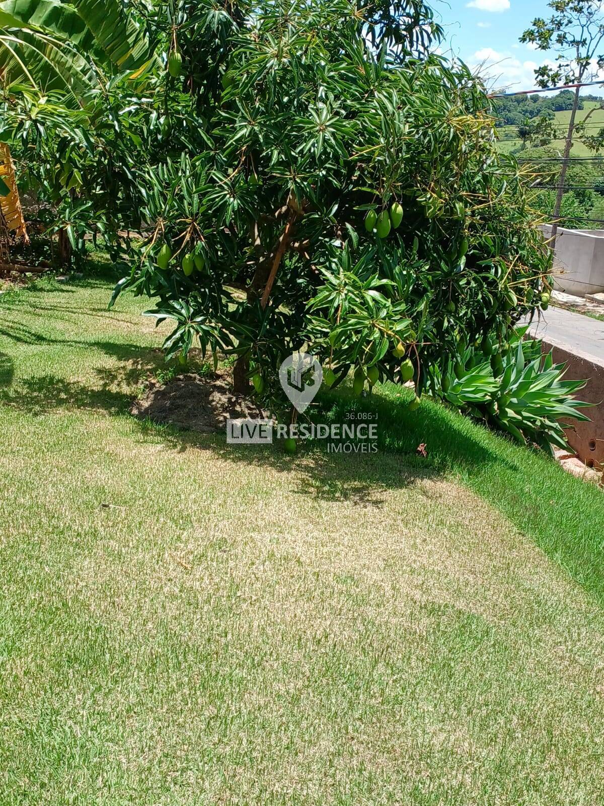 Casa à venda com 2 quartos, 212m² - Foto 37
