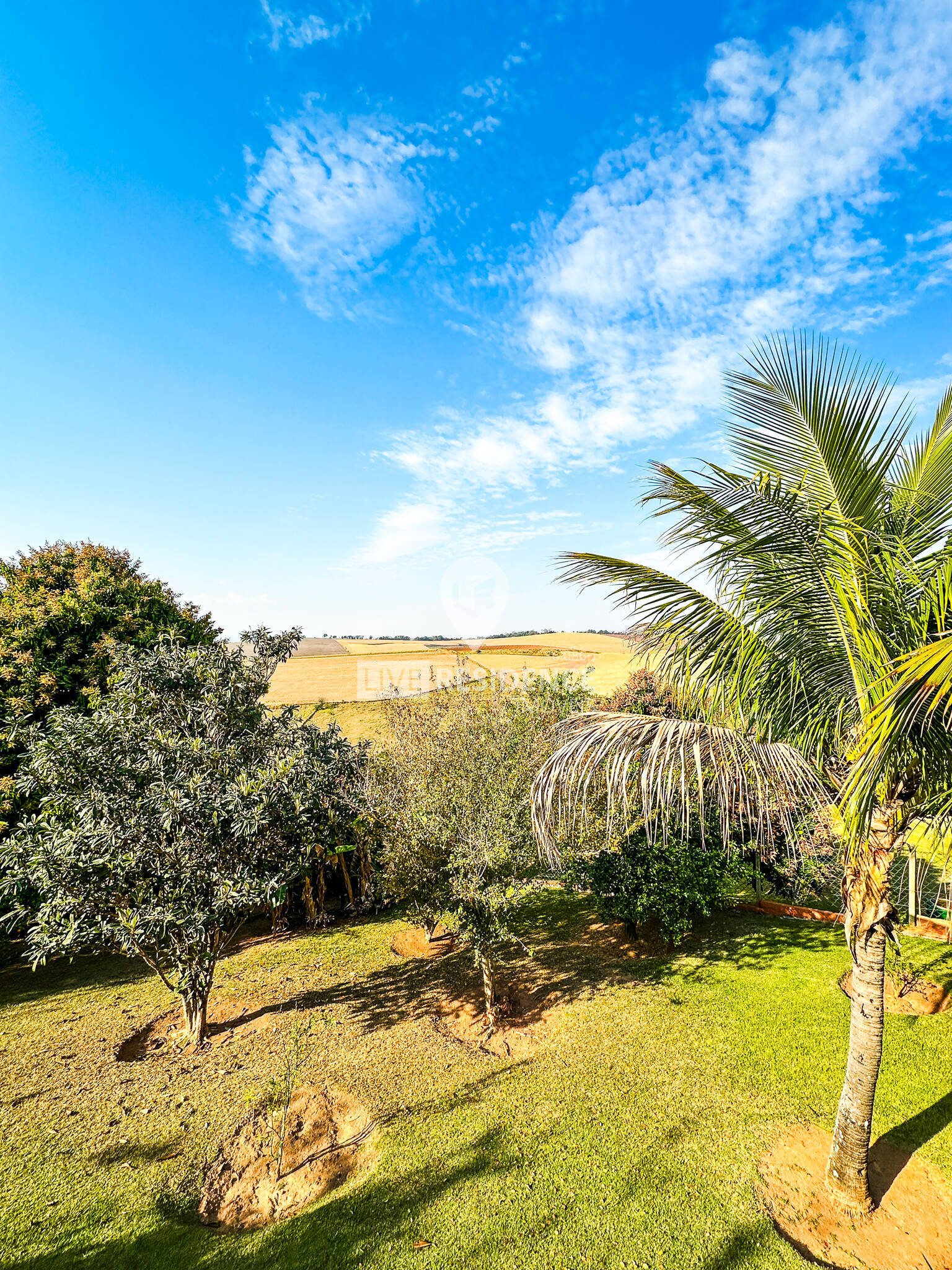 Casa, 5 quartos, 455 m² - Foto 38