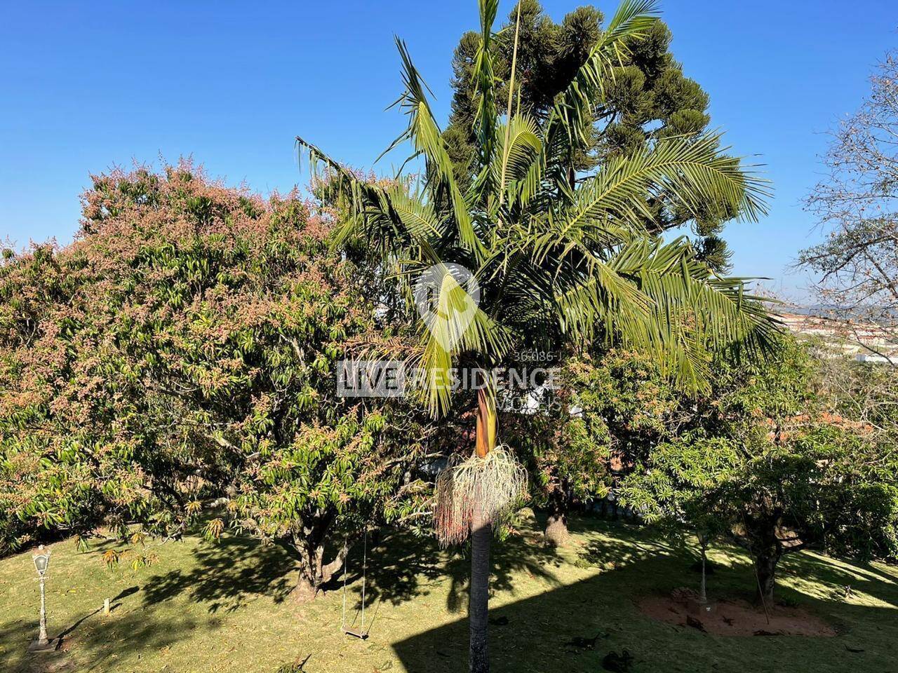 Casa à venda com 4 quartos, 455m² - Foto 10