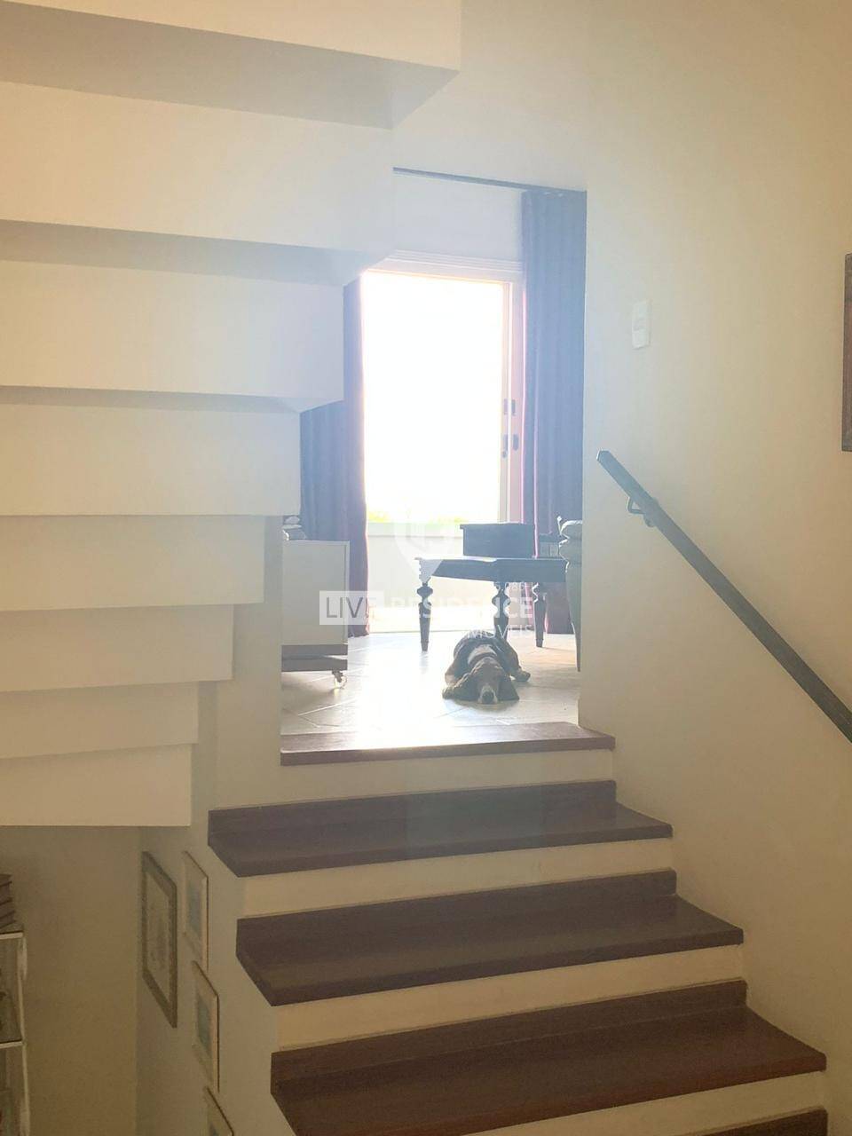 Casa à venda com 3 quartos, 260m² - Foto 57