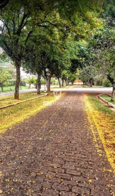 Terreno à venda, 1000m² - Foto 3