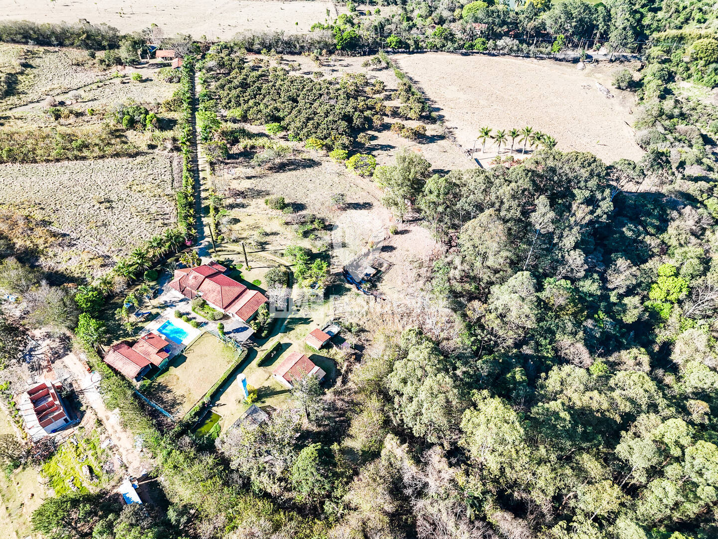 Sítio, 3 quartos, 4 hectares - Foto 3