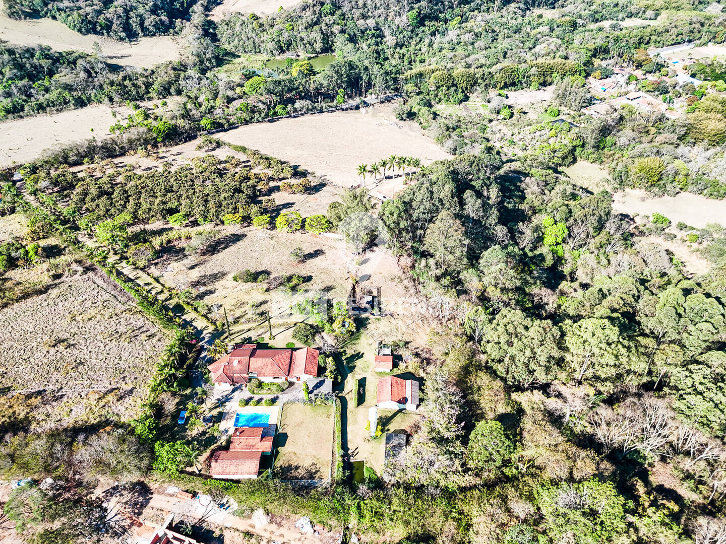 Sítio, 3 quartos, 4 hectares - Foto 4