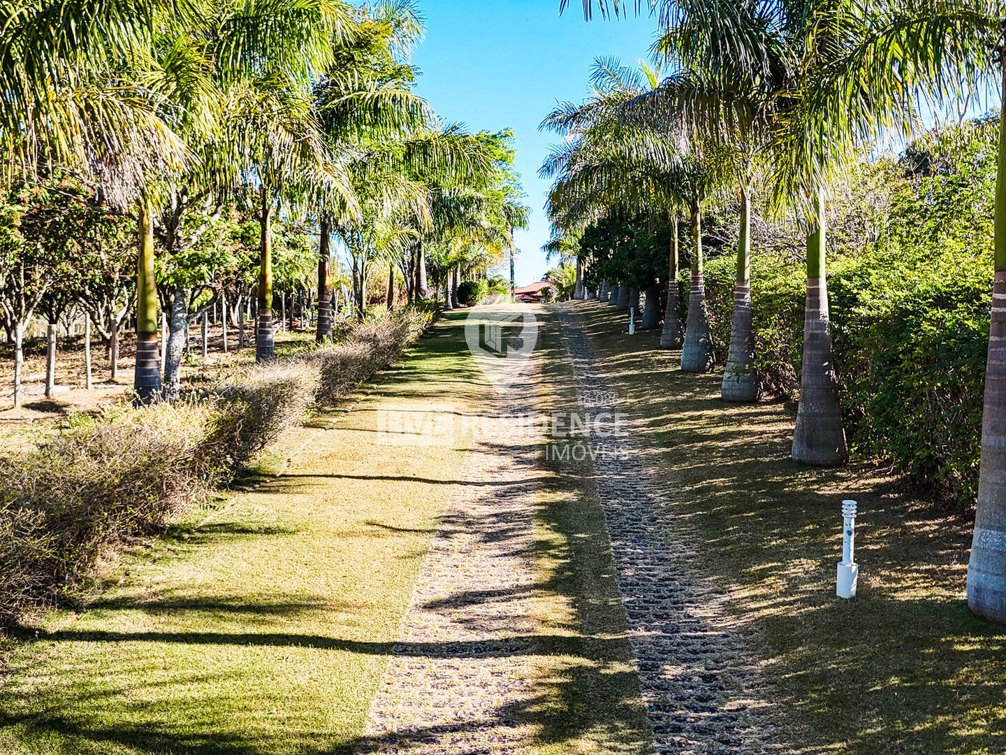 Sítio, 3 quartos, 4 hectares - Foto 5