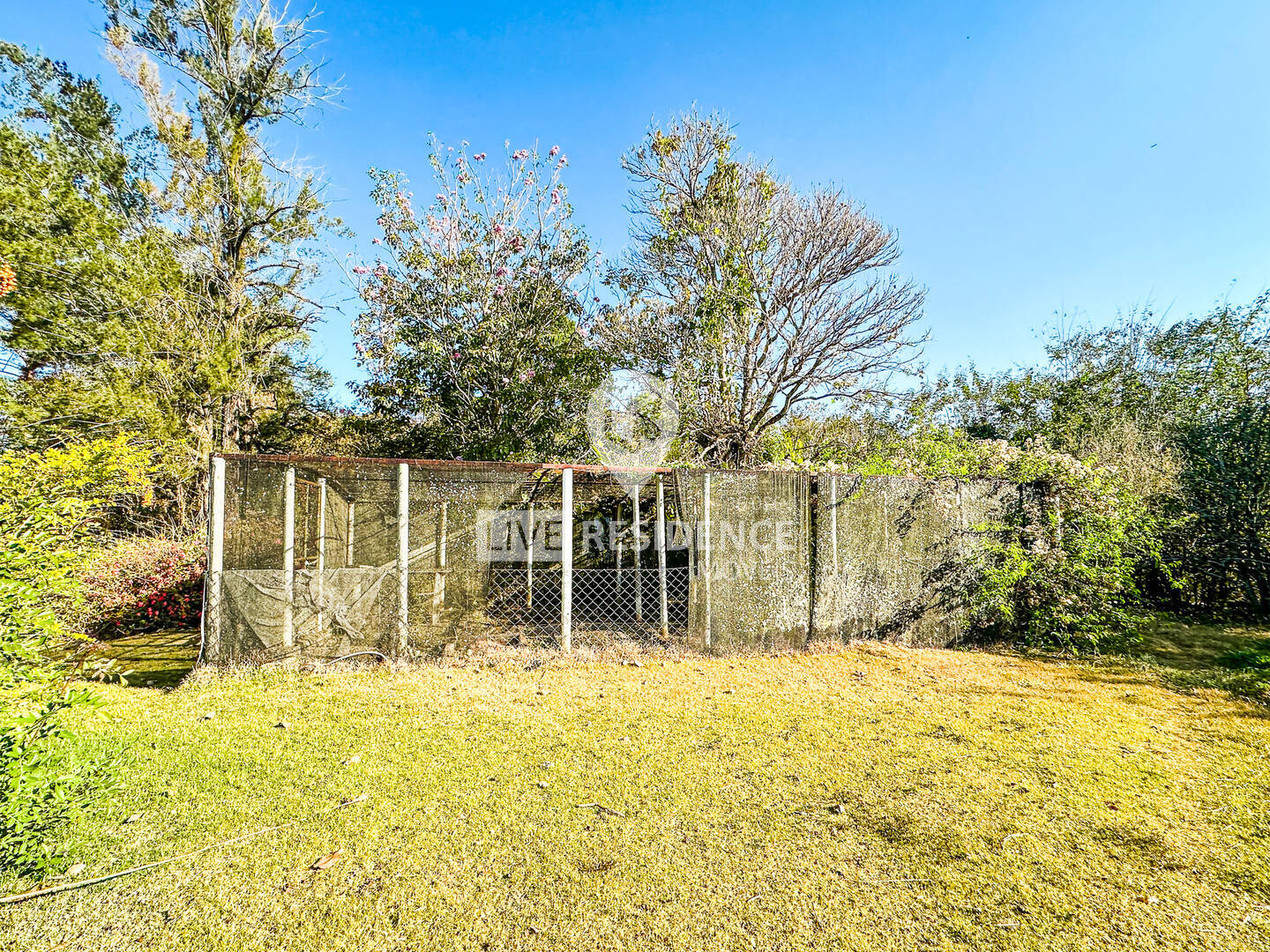 Sítio, 3 quartos, 4 hectares - Foto 43