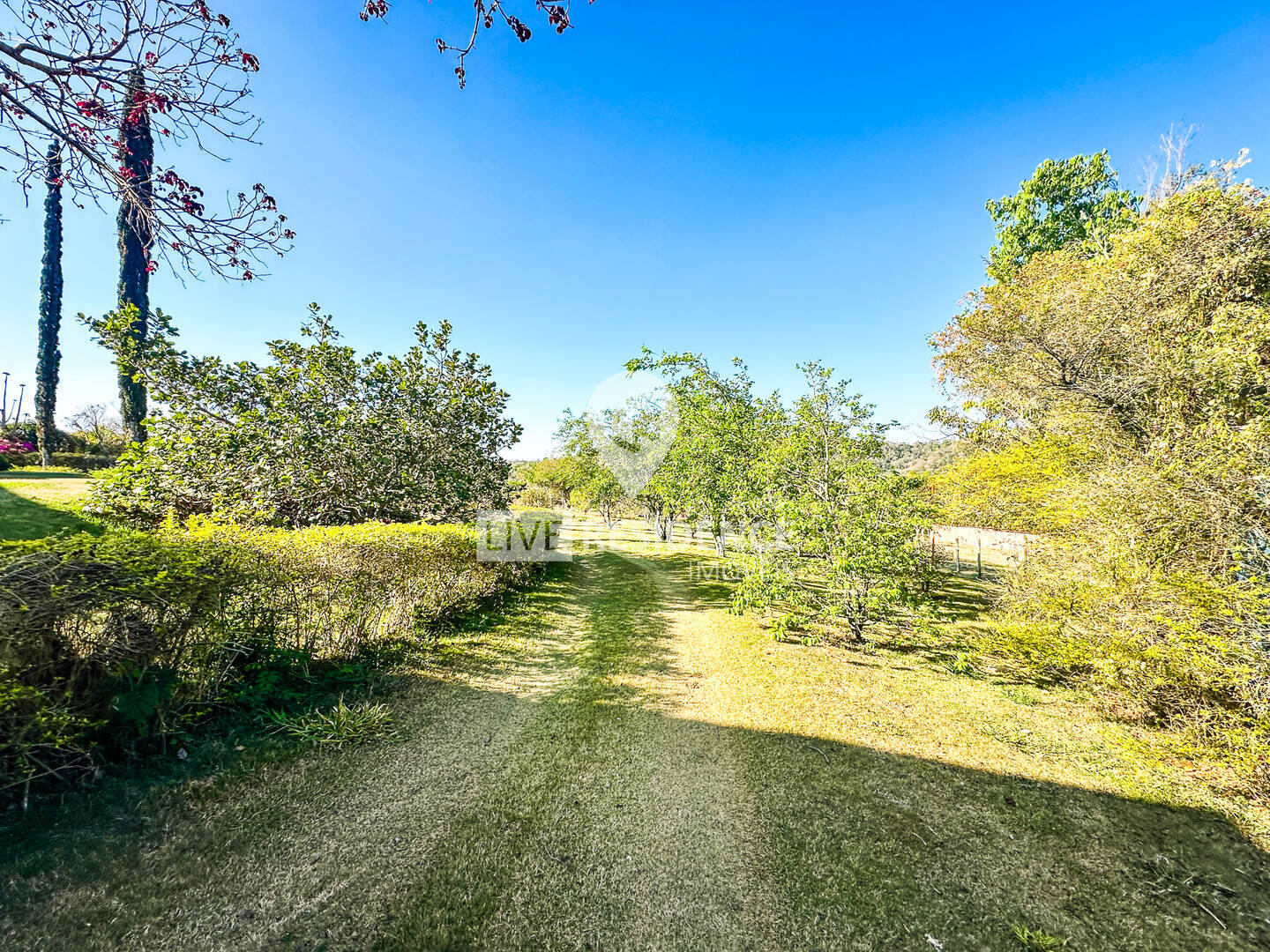 Sítio, 3 quartos, 4 hectares - Foto 49