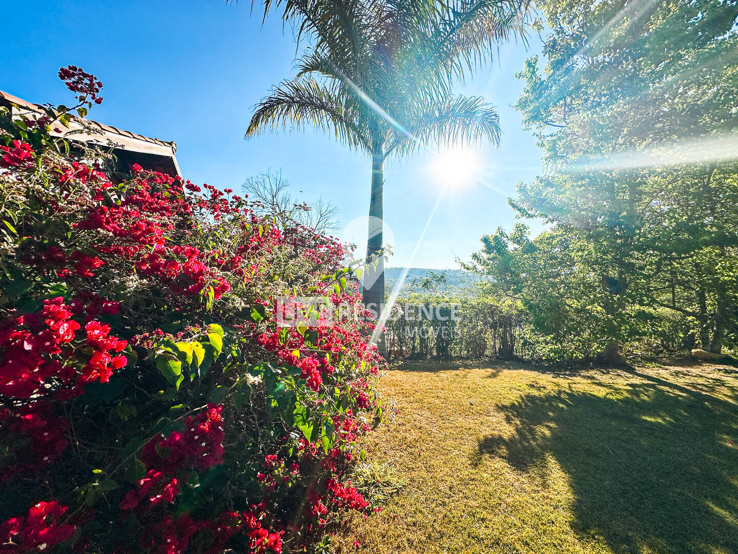 Sítio, 3 quartos, 4 hectares - Foto 52