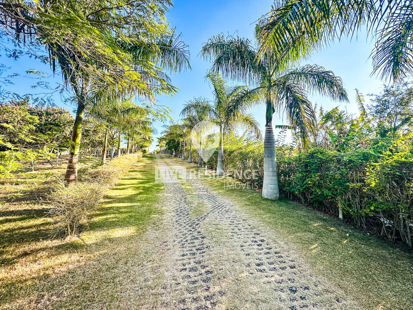 Sítio, 3 quartos, 4 hectares - Foto 54