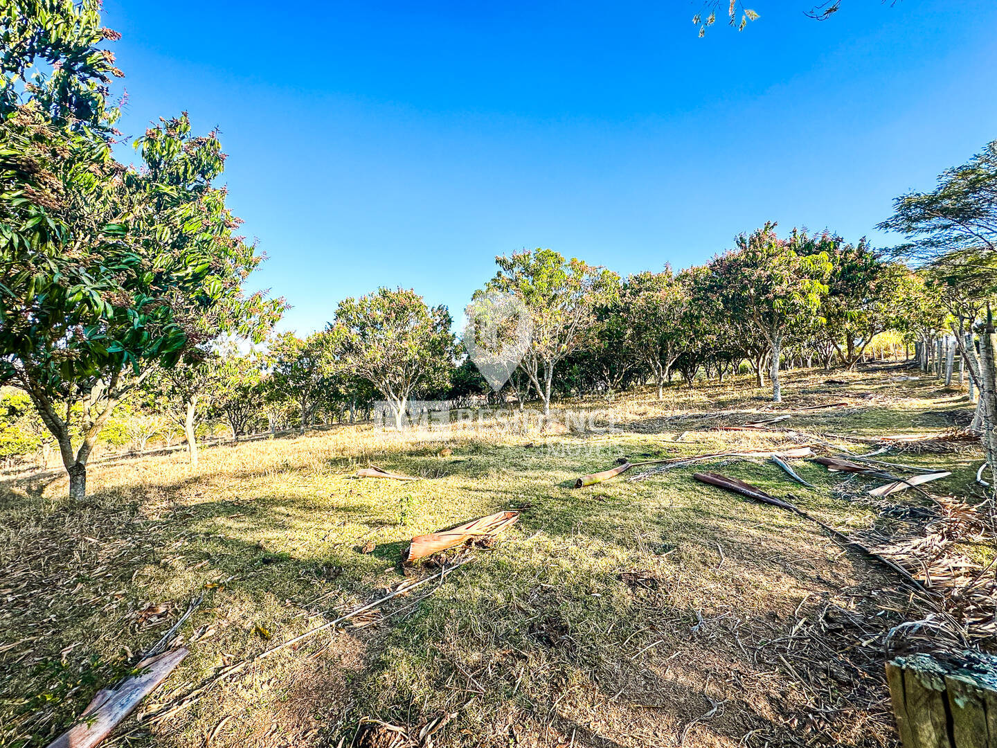 Sítio, 3 quartos, 4 hectares - Foto 55