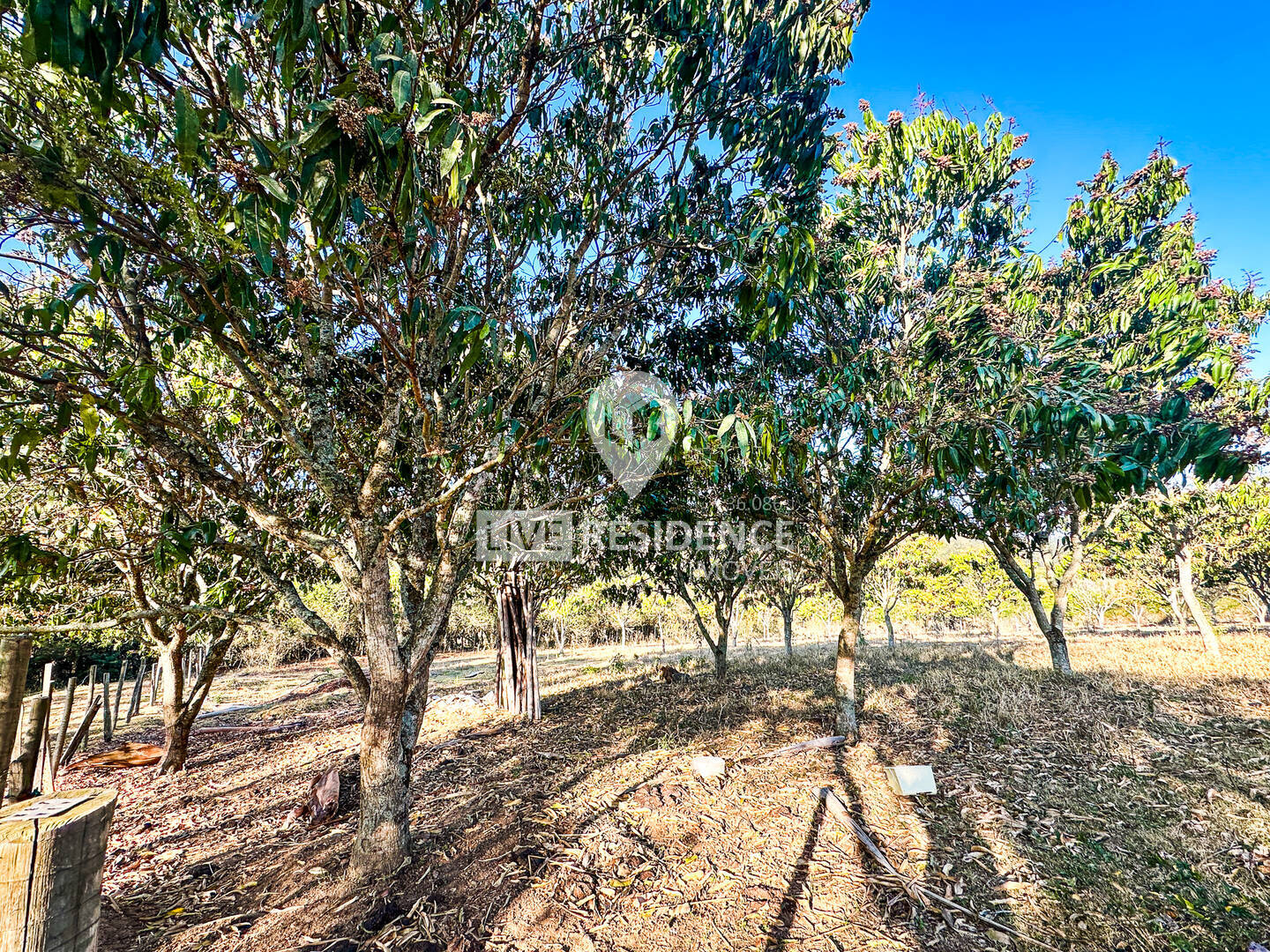 Sítio, 3 quartos, 4 hectares - Foto 56