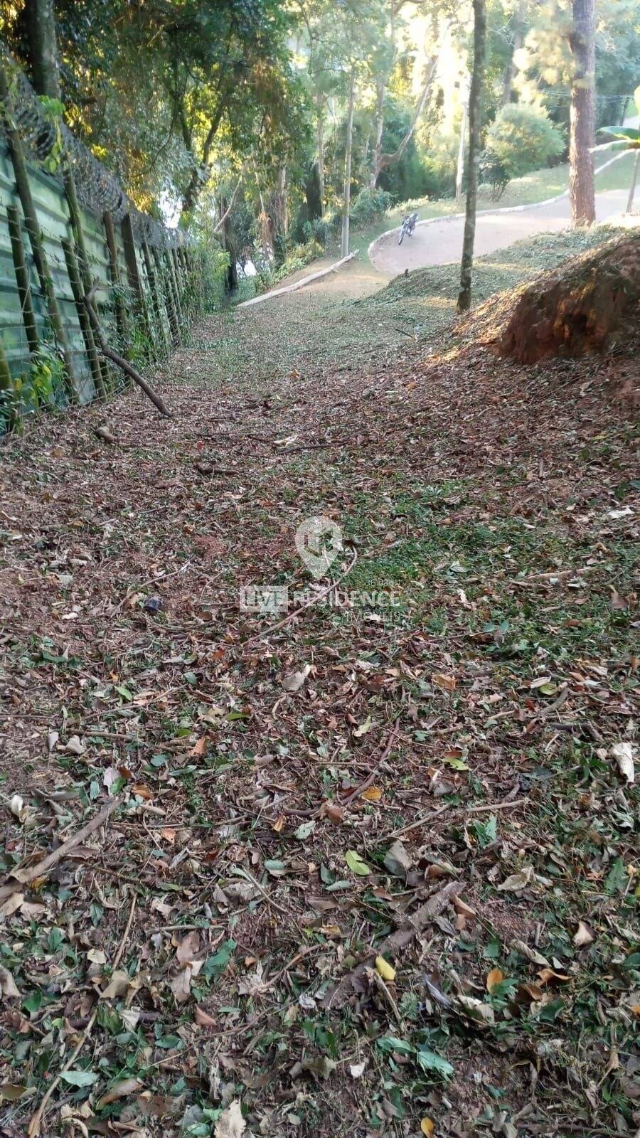 Terreno, 1142 m² - Foto 3