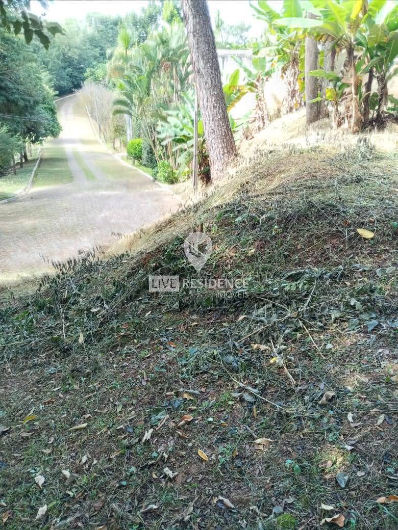 Terreno, 1142 m² - Foto 5