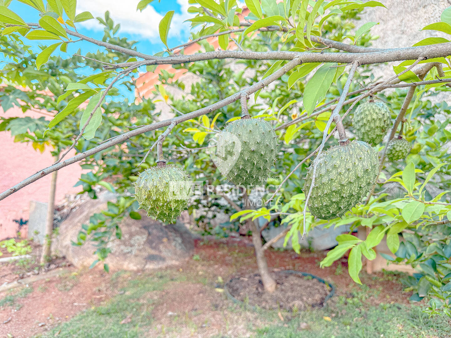 Casa, 3 quartos, 179 m² - Foto 16