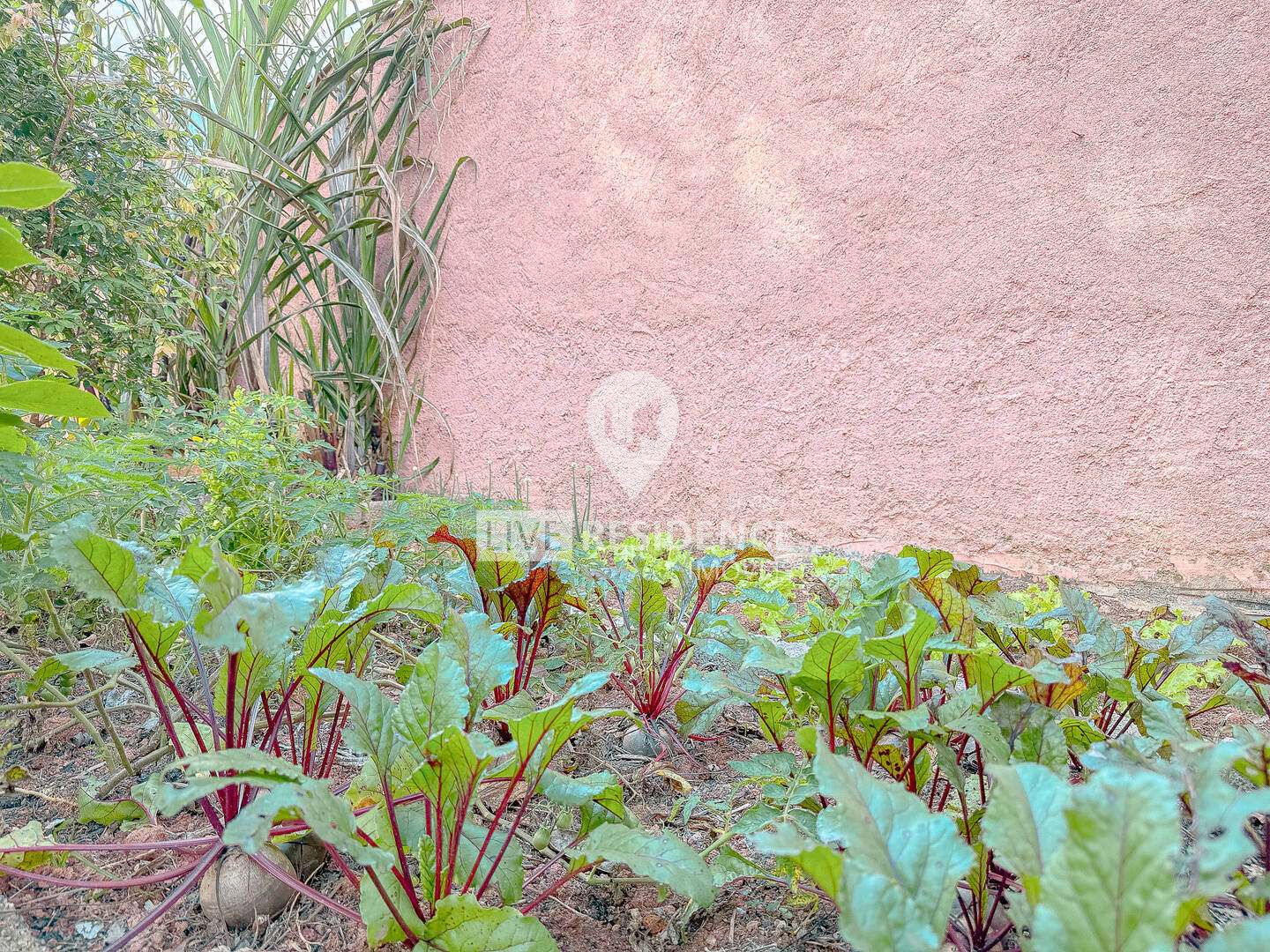 Casa, 3 quartos, 179 m² - Foto 17