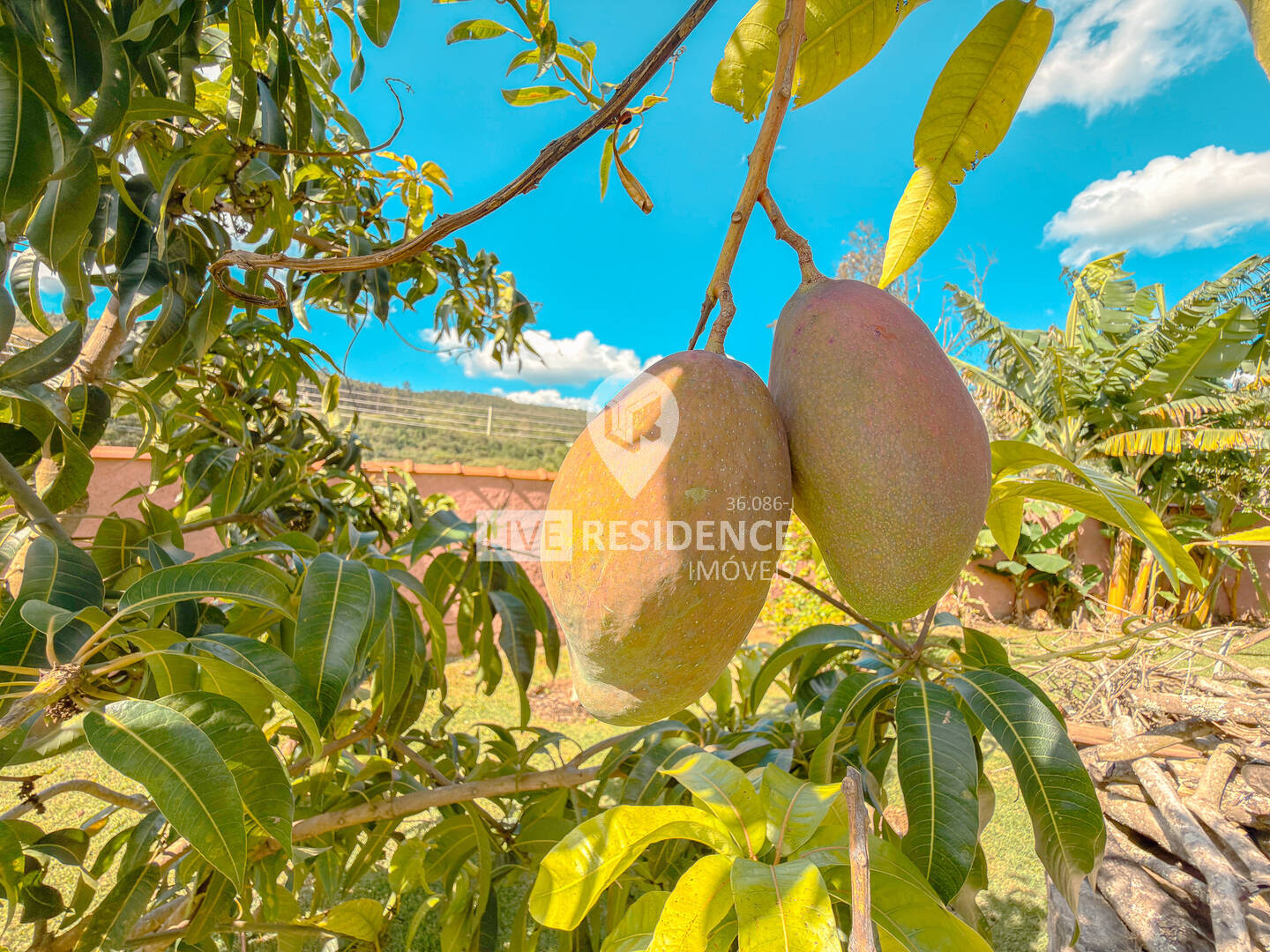 Casa, 3 quartos, 179 m² - Foto 19