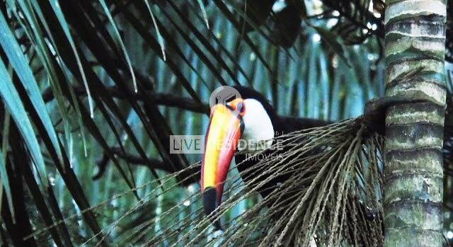 Casa, 3 quartos, 328 m² - Foto 16