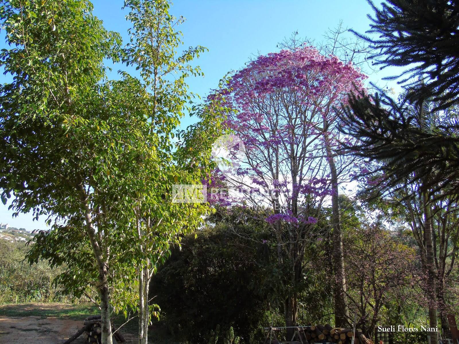 Casa, 3 quartos, 328 m² - Foto 20