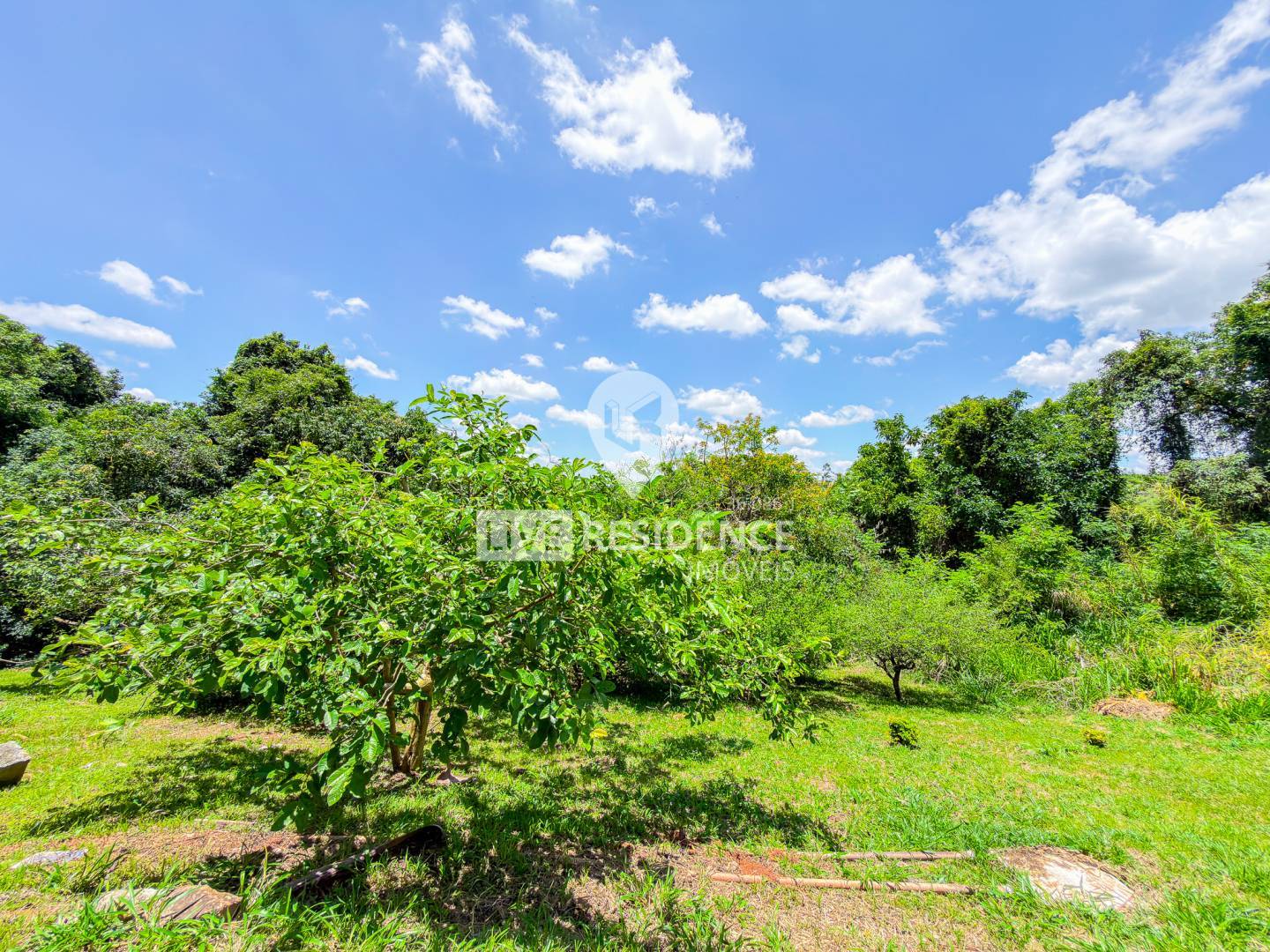 Terreno, 4 hectares - Foto 48