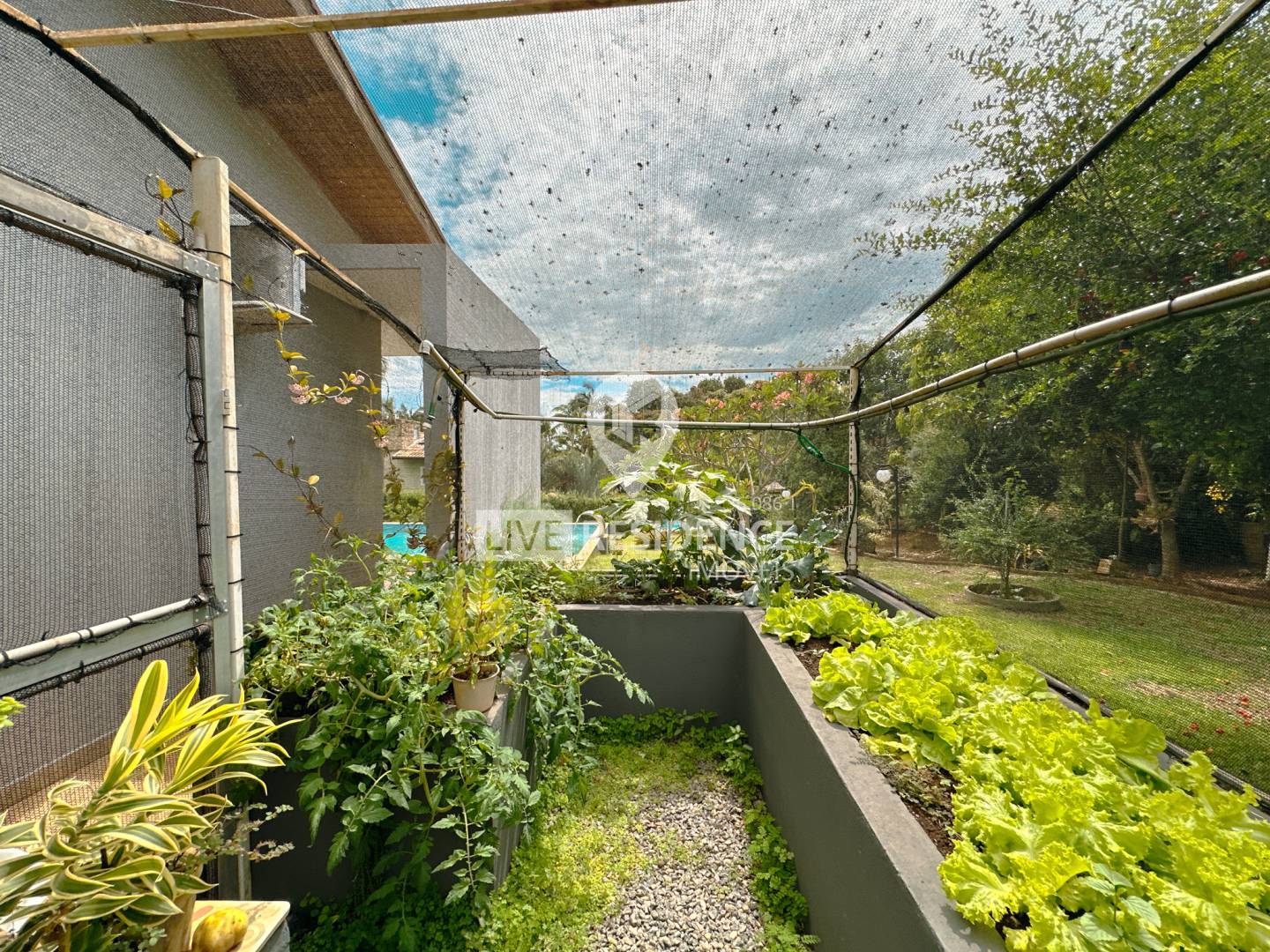 Casa, 3 quartos, 303 m² - Foto 47
