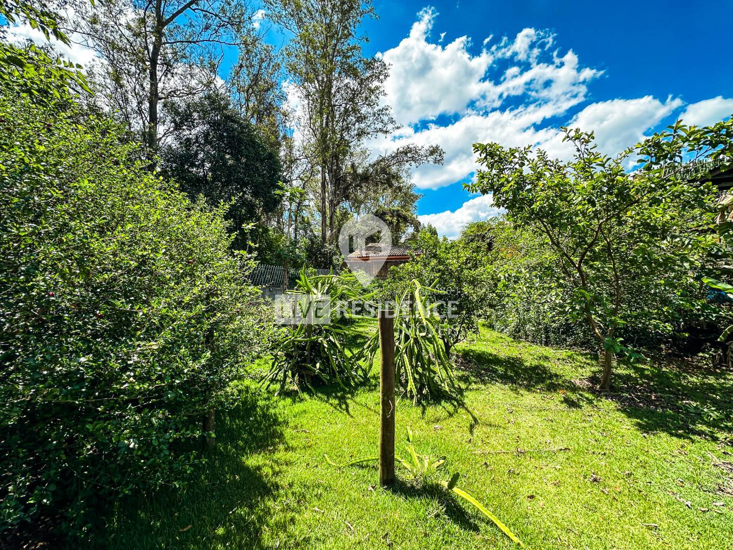 Casa, 3 quartos, 320 m² - Foto 36