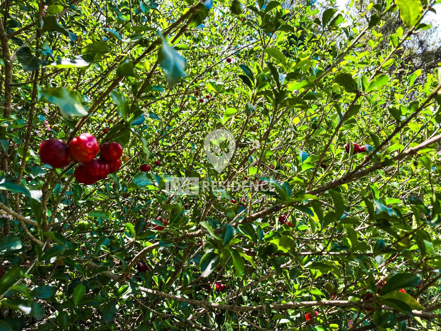 Casa, 3 quartos, 320 m² - Foto 38