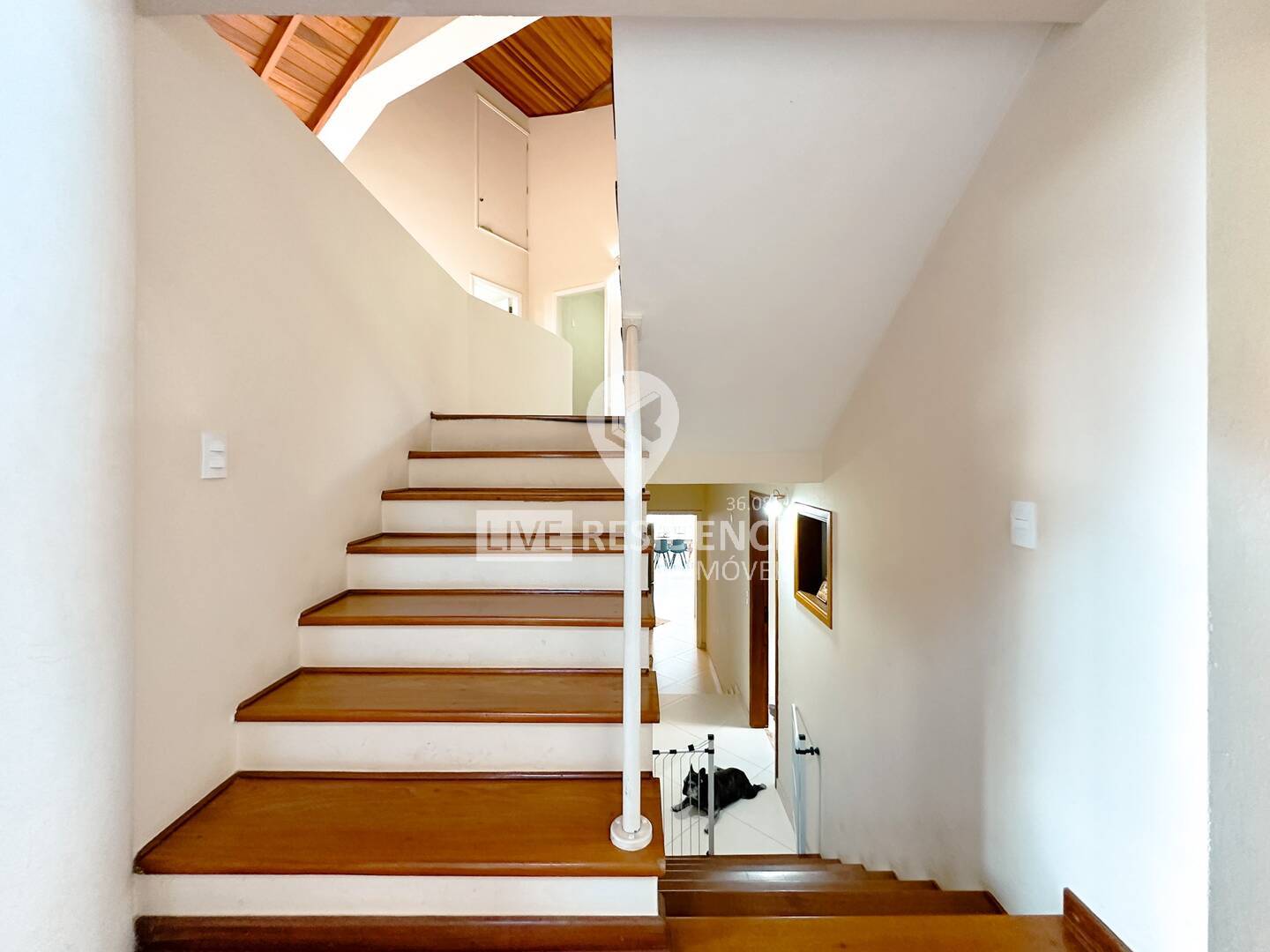 Casa, 4 quartos, 450 m² - Foto 21